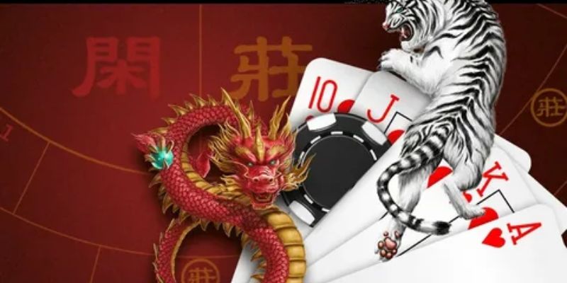 Chiến lược nâng cao cho người muốn chơi rồng hổ luôn thắng