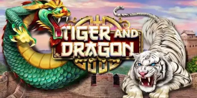 Tổng quan về chơi rồng hổ luôn thắng